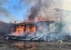 5ea7d624-30eb-4a8f-a41f-7726538729e6