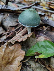 43abf10b-0aae-4058-a010-41c5eb52a452