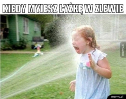 719c8a81-a977-451a-8326-4320f83a47af