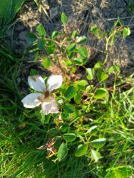 737af724-dc78-44c3-971a-e41c3ffd3b18