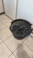 35f3421e-77cf-473c-97d4-0b54d2b3189c