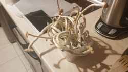 5cca8218-d651-4f4e-97e6-ca1c6569d762