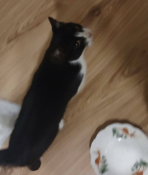 6a0121b0-0e76-4172-8585-d0d2e42301e0