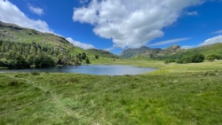 f203ff0e-7a13-4379-ab78-5d90447a8979