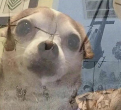 93d86fd2-9d8e-4d77-9a07-1cdf89616569