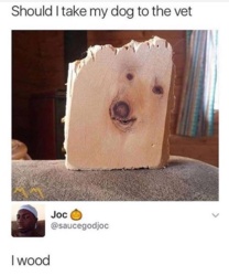 83e5e0f1-3abb-4527-ae71-557344c3e8de