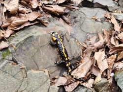 c5877955-309f-451c-9622-6bb2391c4764