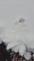 a540ae80-4df7-48df-8c01-782d2c490c7b