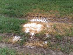 44f3134a-eaee-42a0-bc23-117b756587eb