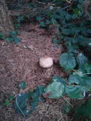 8be880ad-fc59-4361-8f53-835bbac44cc1