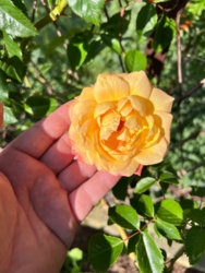 d57045ef-b2bf-4dc6-a4ee-a44c6a21f4e0