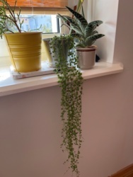 de694e5e-aa9d-490d-8011-6b4bf07d6c13