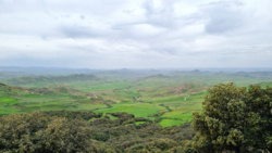 74d7d1ef-e1bc-4ea6-b554-fa6e84035b2a