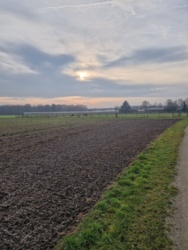 09202881-796b-44f5-9867-347229338272