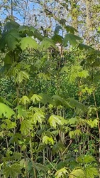 0128c364-a16a-4eb4-9f5f-5dab4d3baf63