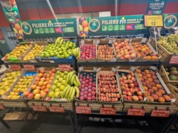 7a0f0125-0c04-447c-ae4f-785afab6a37f