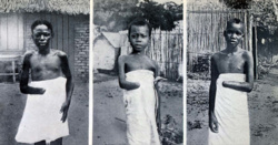 9c82fe2d-779a-4c28-8224-511de4a76e99