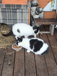 05a22be4-a5ac-4d54-a105-7e3f7c7953ef