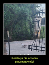 f33d497c-5f0f-4020-81e7-58e2b0fbeffd