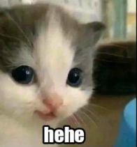 5d498dbd-c096-4a66-a16d-e95f18808e22