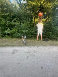 c94f5ec0-e3e2-4dc2-8a4d-270b908d4568