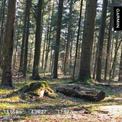 b5d4630a-c12a-4927-ae48-2028c00e15ea