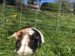 36e4e5ad-45d0-4fa2-b720-d99f51e6250d