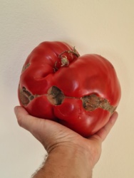 9ff8a49f-fda7-49bd-9f09-5f301b66a251