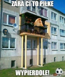 04647929-8742-4b9b-9d7e-135a0f5cccbb