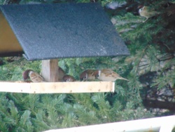 2bd22329-e43f-4908-952d-fff622e68305