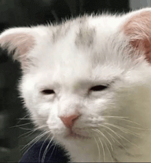 10c37ca6-ff5f-4451-87f6-41246df2025b