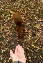 5bdd3c01-58e1-47c3-855e-cc2b5e37ed4a