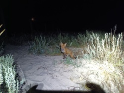 5b6f5b0a-a623-438e-9c2c-116fd40db4fa