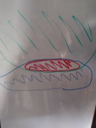 62a905af-bafe-4a6f-8a58-275ef9a60894