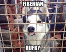 e8751fd3-6031-4617-b3b2-002a83490f71