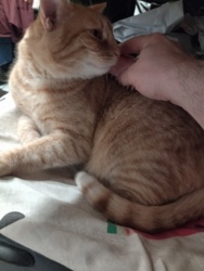 4b98fe7b-85a3-4b47-94ef-403f02101bcf