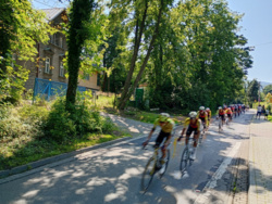 df395186-dfd7-44a1-be60-6a33e7a5ff16