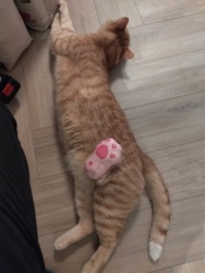 fd4ac338-24e7-4c6a-8f5f-2153a86989bd