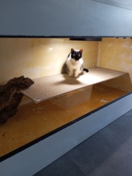 e8a2ff22-bd54-4cf8-a4b6-b2df65d41934