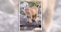 9baf90d3-4fab-4d9f-894d-f33604194898