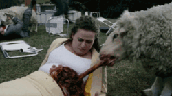 52aa5aa1-b7ca-4d88-aa55-12a19fa792ed