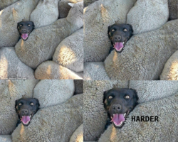 a4e04327-0e1b-443a-b210-233b42f49b3d