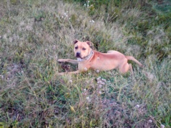 8a518c0c-ff8d-4eb2-98ae-d7e809366c9e