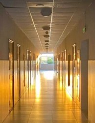 ea134ba8-ef70-4e66-b4f5-a9a05d100d1f