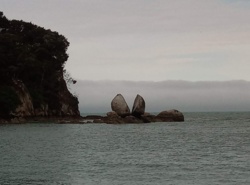 737f2c94-08f8-448a-b43a-110ee88834ef