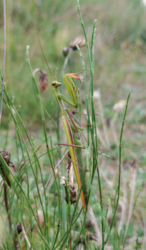 2ee7538e-44df-4a19-9632-cc434f38412e