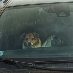 f10be235-0358-460f-8a3c-e731a7b13180