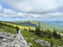 6fe4f28c-3f9a-44bf-959a-6188179203e4