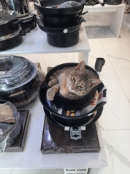 a3079adc-dd4e-44f9-9d67-fd2751f945ba