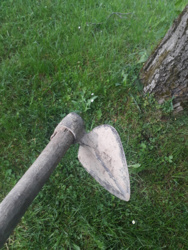 cb1d430d-f9e4-4d96-b329-8edd87dcc521